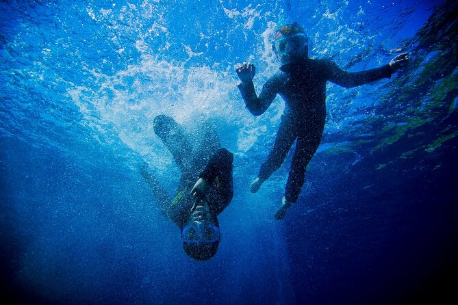 Boat trip and snorkeling in Villefranche - sur - Mer - Who Should Book This Snorkeling Boat Trip (and Who Might Be Disappointed)