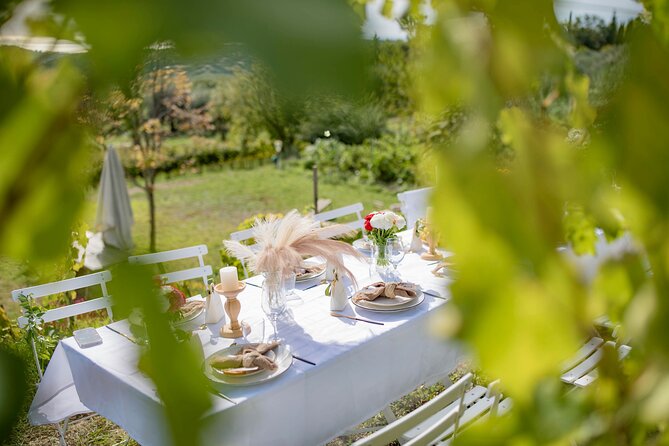 Dinner in the Vineyard French Riviera - Lunch or Dinner in the Vineyard: Seasonal Menu and Atmosphere