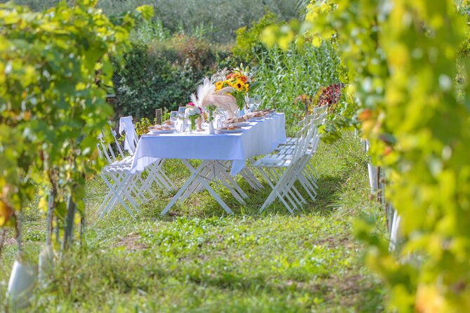 Dinner in the Vineyard French Riviera - Who This Experience Fits Best (and Who Should Skip It)