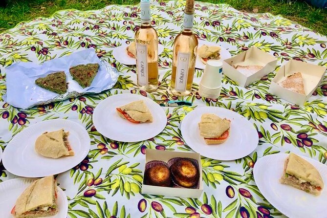 Food & Wine Lovers Tour of Nice Local Markets and Best Shops - Colline du Château and the picnic finish: the view reward