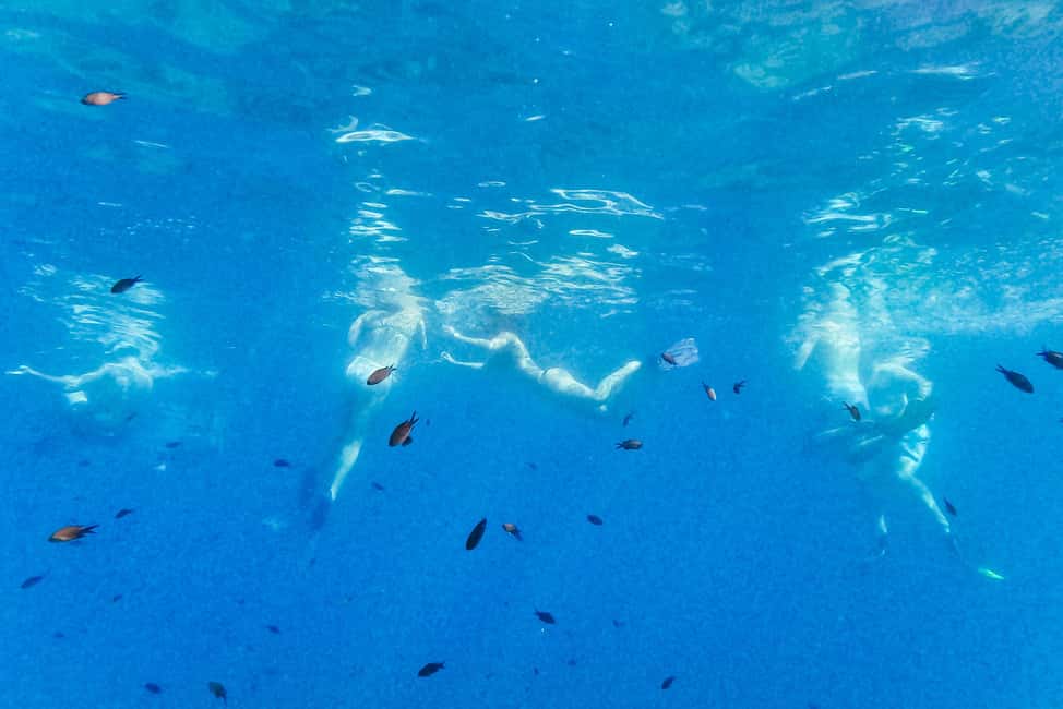 From Nice: French Riviera Swimming and Snorkeling Cruise - Who Should Book This Cruise From Nice?