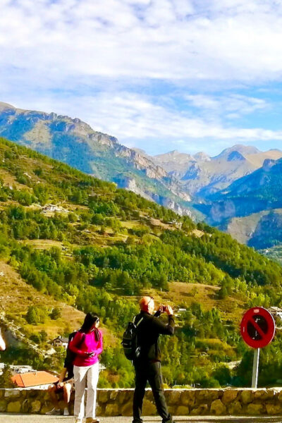 From Nice: Historic Train Ride & Alps Villages - Chemin de Fer de Provence: the ride is part of the experience