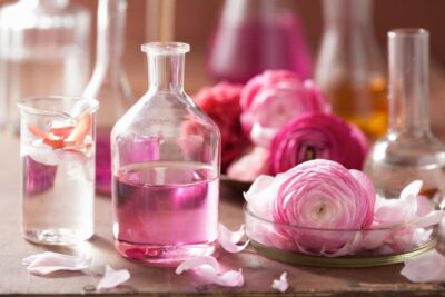 From Nice: Jewels of Provence Full-Day Tour with Transfers - Grasse: where perfume stops being a souvenir