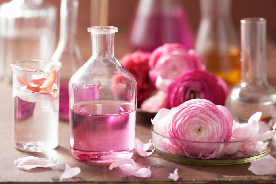 From Nice: Jewels of Provence Full-Day Tour with Transfers - Grasse: where perfume stops being a souvenir