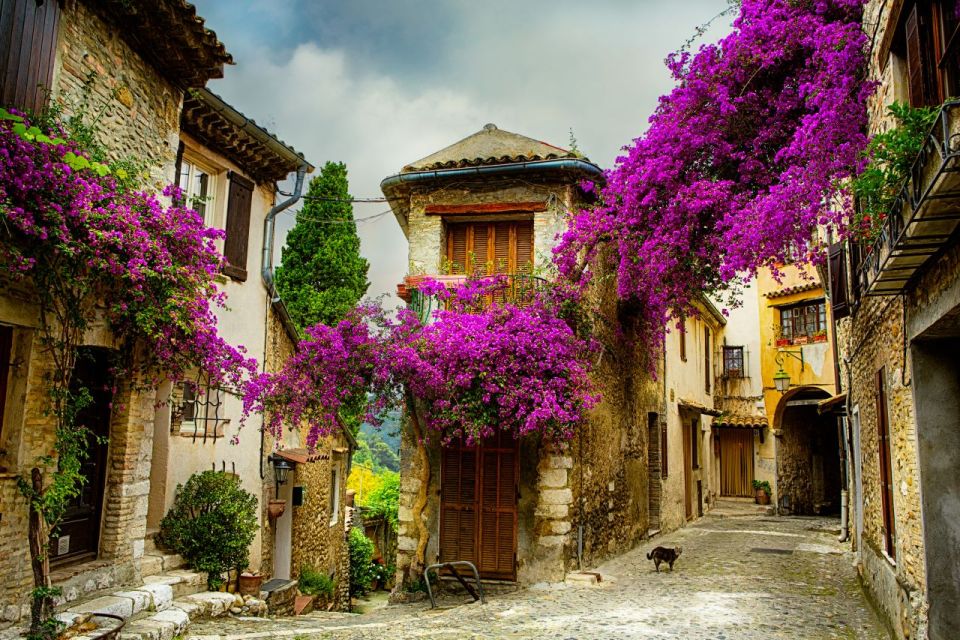 From Nice: Provence and its Medieval Villages Full-Day Tour - Gourdon and Saut du Loup: Fortified Walks and Waterfall Colors
