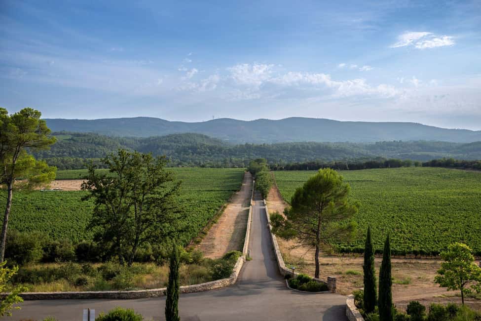 From Nice: Provence Wine Full-Day Tour - Group size, guide quality, and van comfort that actually matters