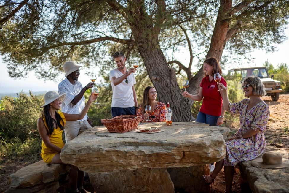 From Nice: Provence Wine Full-Day Tour - Stop 1 at a Cru Classé château: cellar access and Provence wine craft