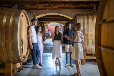 From Nice: Provence Wine Full-Day Tour - Getting out of Nice: timing, comfort, and how the day is paced