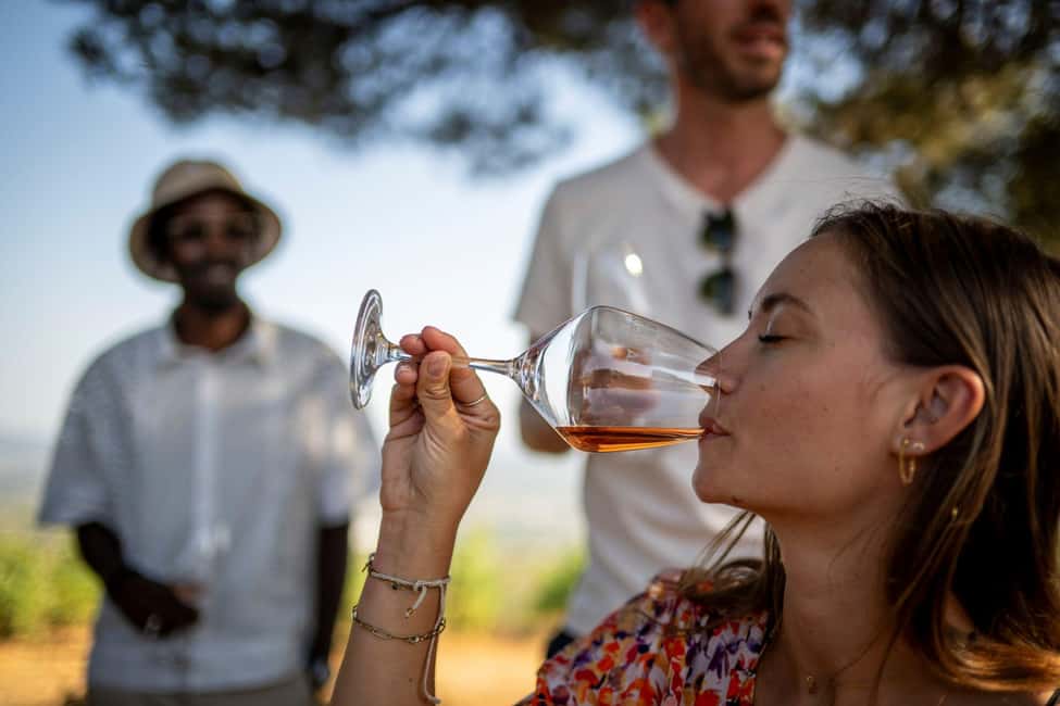 From Nice: Provence Wine Full-Day Tour - The mini-masterclass: how you’ll taste like a pro without pretending