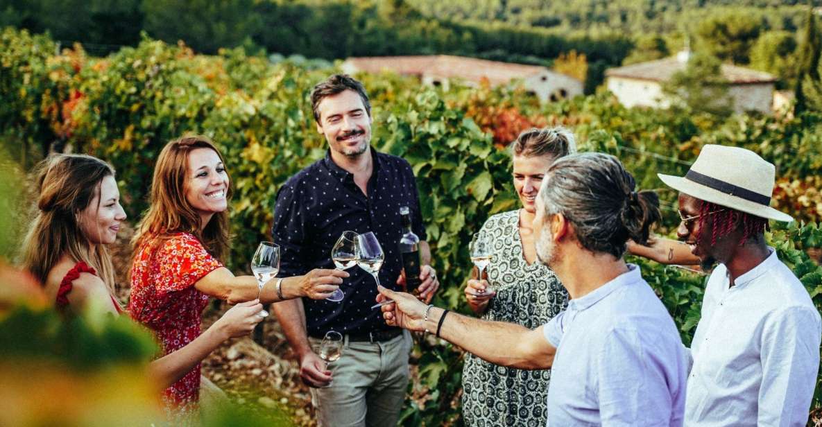 From Nice: Provence Wine Full-Day Tour - Stop 2: a four-generation family estate with vineyard walks and terrace tastings