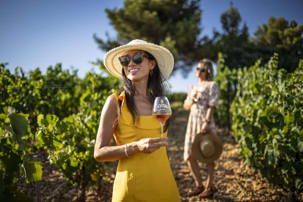 From Nice: Provence Wine Full-Day Tour - Stop 3: organic wines, gardens, and a cellar that makes you slow down