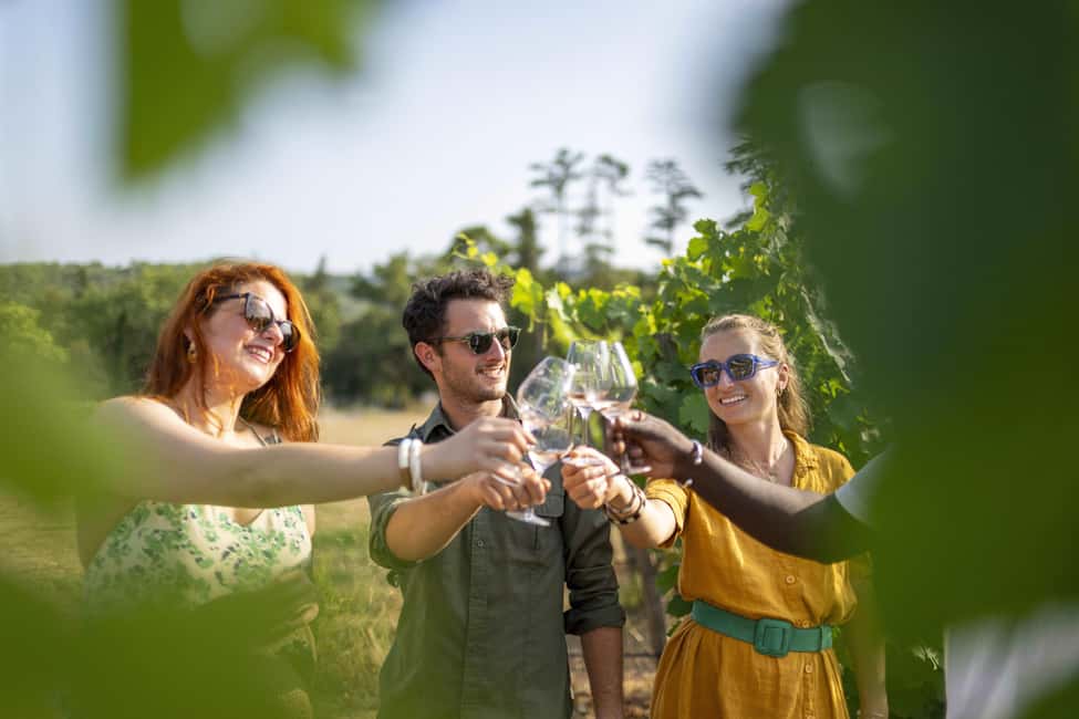 From Nice: Provence Wine Full-Day Tour - The wine styles you’ll taste: rosé, powerful reds, and aromatic whites