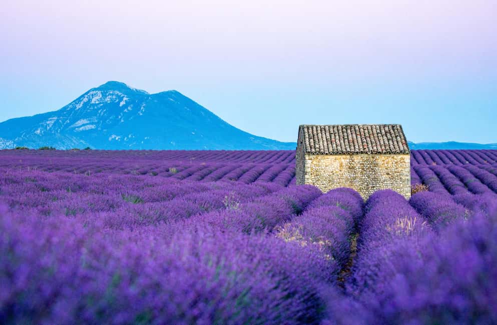 From Nice: Verdon Gorges & Lavender Fields Tour & Transport - Why a Nice-to-Verdon day trip still makes sense