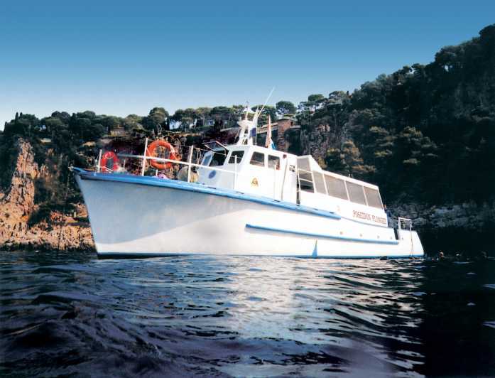 From Nice: Villefranche Bay Swimming & Snorkeling Boat Tour - Key points at a glance