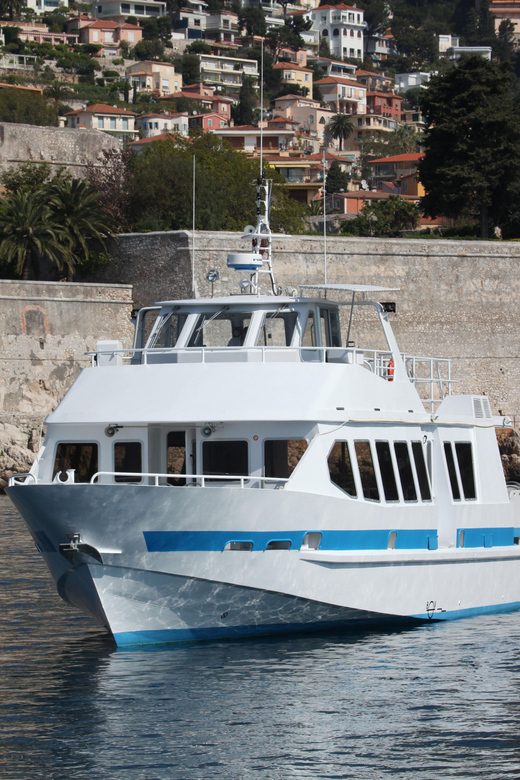 From Villefranche-sur-Mer: Guided Dolphin-Watching Tour - Should you book this Villefranche dolphin tour with AMV?