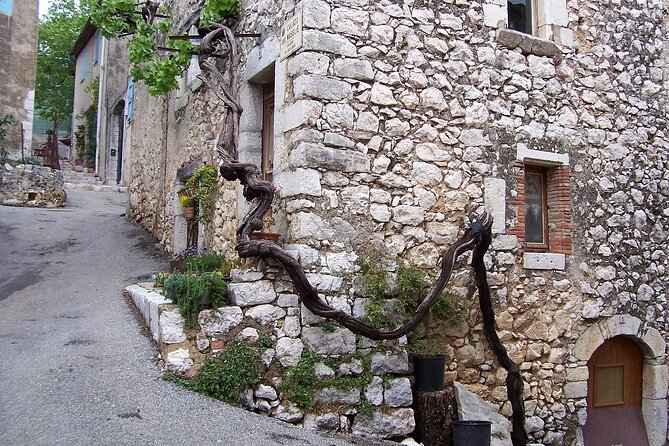 Full day Guided Tour: Cannes, Antibes, St Paul de Vence from Nice - Cannes from the outside, then up close where locals wander