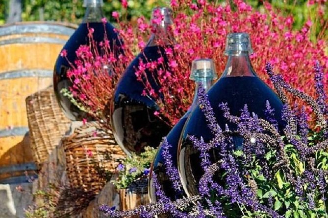 Half-Day Wine Tasting and Saint Paul de Vence Tour from Nice - Wine tasting etiquette and what to expect from the tasting format