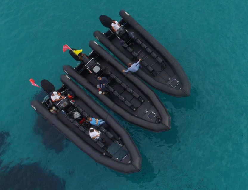 Nice: 1h30 nautical excursion to Cap Ferrat - Weather, route changes, and the captain’s call