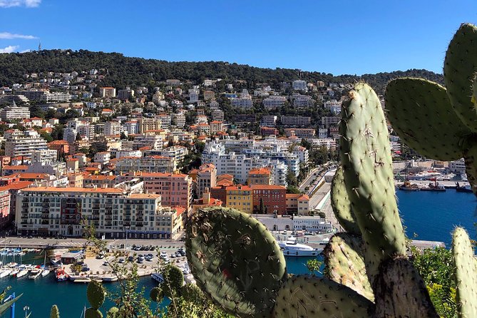 Nice City Best Highlights E-bike Tour - Colline du Château (Castle Hill): the best panoramic payoff