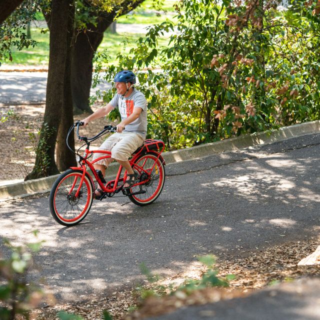 Nice: E-Bike City Highlights Tour - Quai Rauba Capéu to Quai des États-Unis: A Nice Seafront Story in Parts