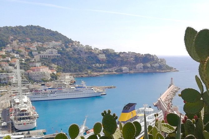 Nice Essentials Guided Electric Bike Tour - Promenade du Paillon: gardens and cycle-friendly center connections
