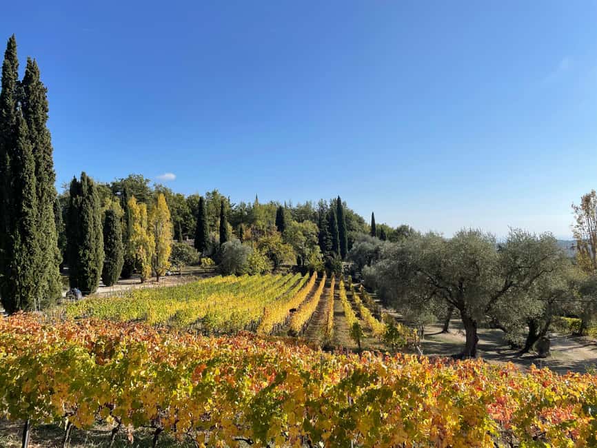 Nice: Full-Day Côtes de Provence Wine Tour - Quick hits before you go