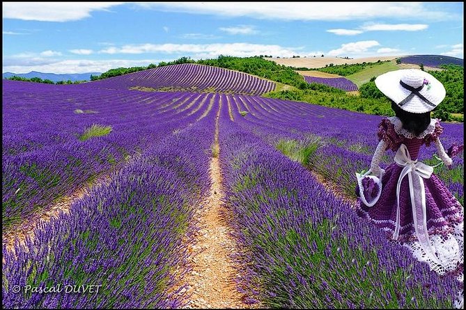 Nice: Gorges of Verdon and Fields of Lavender Tour - The “Gorge of the Wolf” Stop: A Waterfall Teaser Before the Main Event