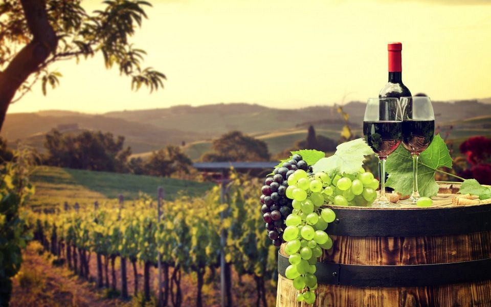 Nice: Provence Village Tour with Wine and Produce Tasting - The Smooth Start: Pickup in Nice and Air-Conditioned Hill-Road Comfort