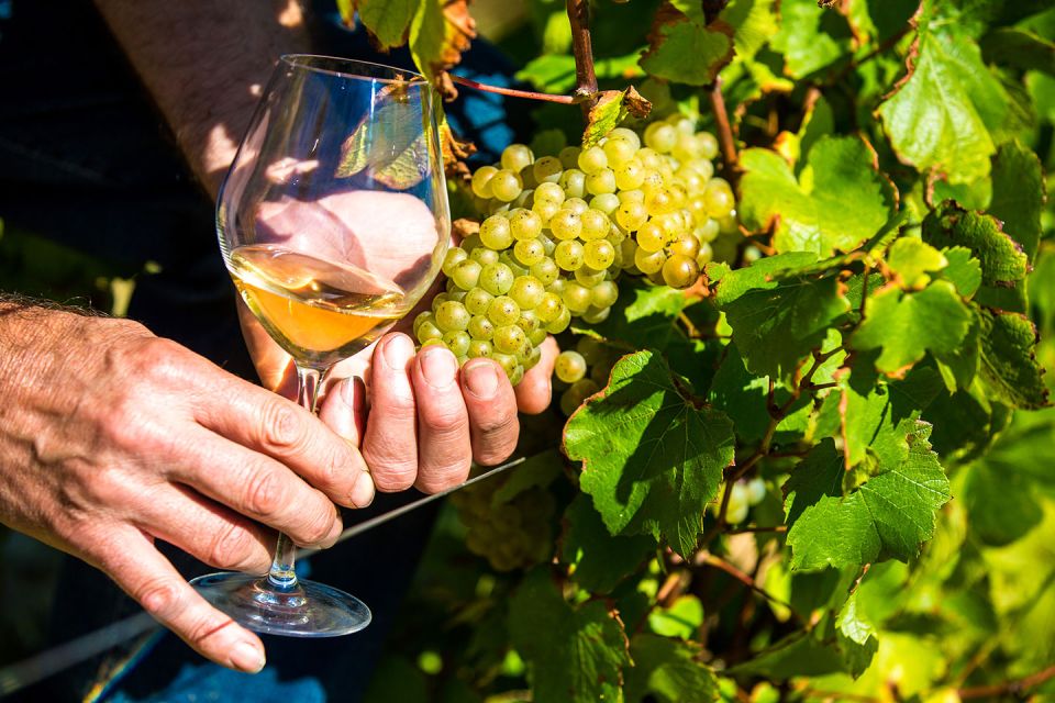 Nice: Provence Village Tour with Wine and Produce Tasting - Gourdon’s Castle Views and André Le Nôtre Garden Time