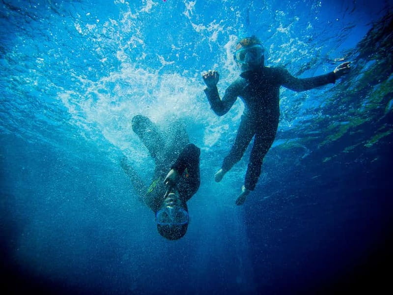 Nice: Snorkeling Speedboat Tour in Villefranche Bay - Key takeaways before you book