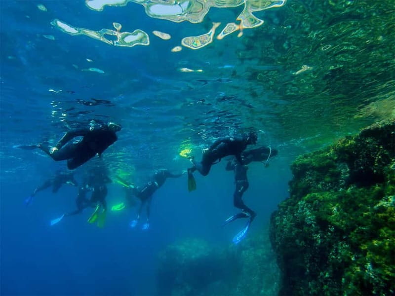 Nice: Snorkeling Speedboat Tour in Villefranche Bay - Speedboat Snorkeling in Villefranche Bay: the efficient way to see more
