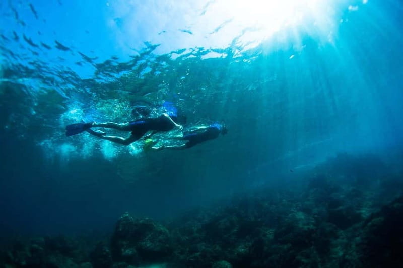 Nice: Snorkeling Speedboat Tour in Villefranche Bay - The return cruise back to Nice: where the trip ends, and what to do after