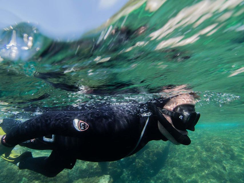 Nice: Snorkeling Speedboat Tour in Villefranche Bay - Gear, swim level, and safety: what makes this tour feel manageable