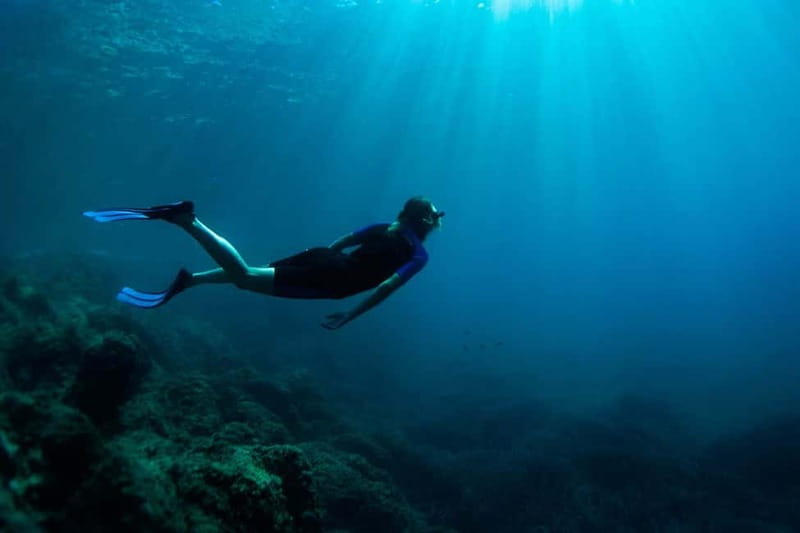 Nice: Snorkeling Speedboat Tour in Villefranche Bay - Instructors and onboard energy: how the guides keep it fun and safe