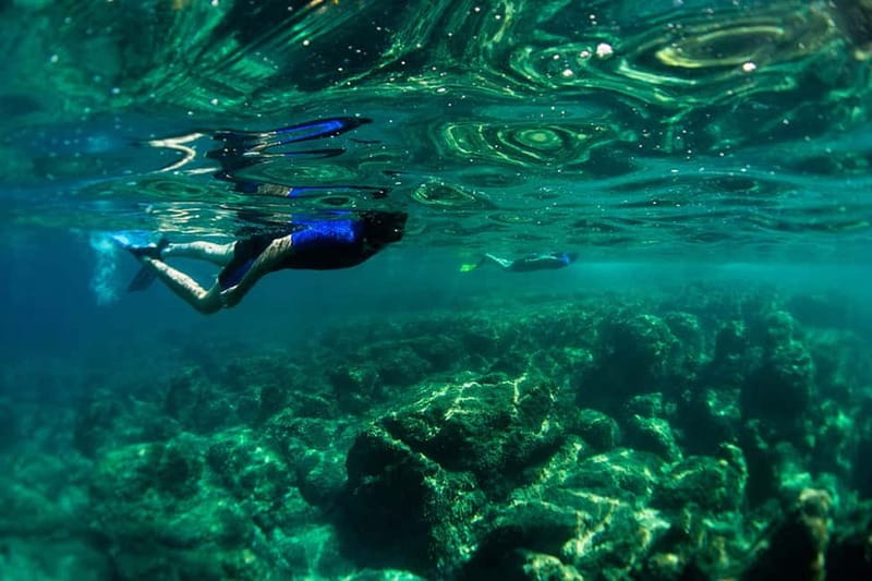 Nice: Snorkeling Speedboat Tour in Villefranche Bay - Meeting at Chango Diving in Nice (Quai des Docks) and getting geared up