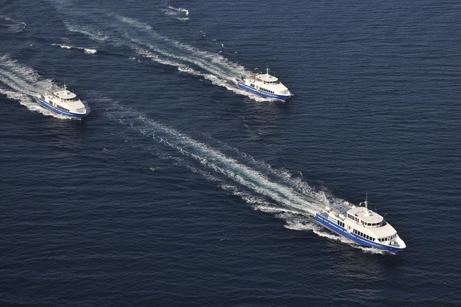 Nice to St Tropez Ferry Ticket and Cruise - FAQ