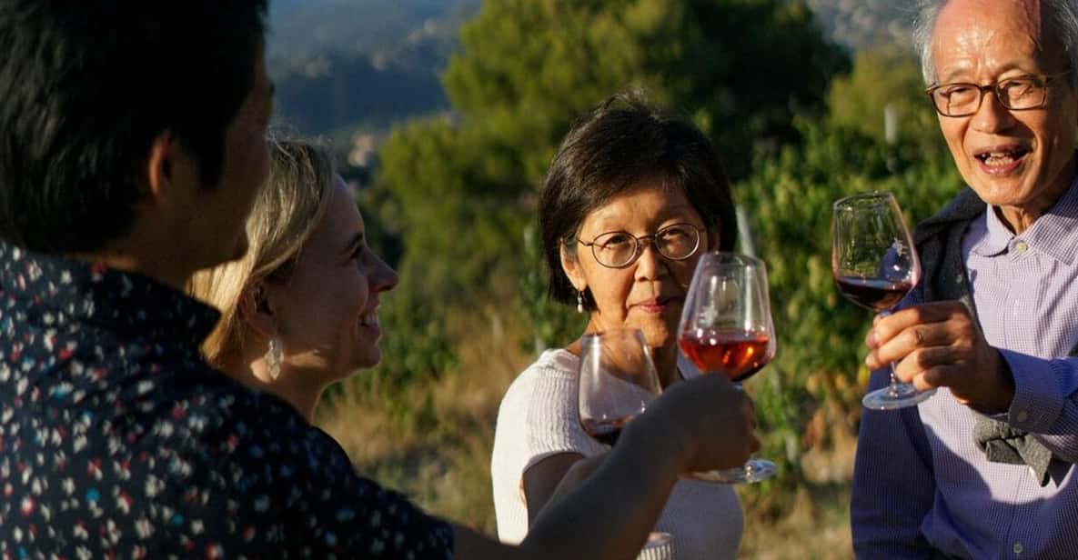 Nice: Vineyard Tour with Wine Tasting - Key takeaways for your Bellet wine tour