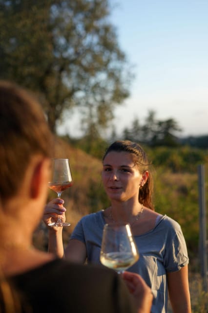 Nice: Vineyard Tour with Wine Tasting - Price and value: why $38 feels fair for Bellet