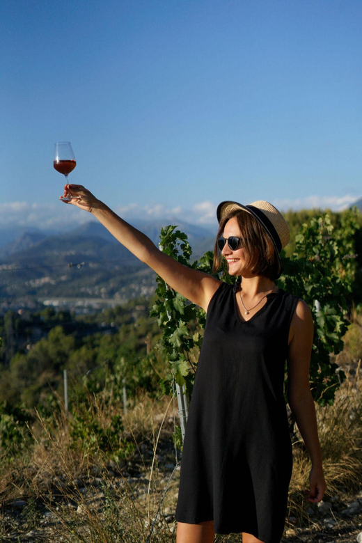 Nice: Vineyard Tour with Wine Tasting - Best for: who will love this tour most