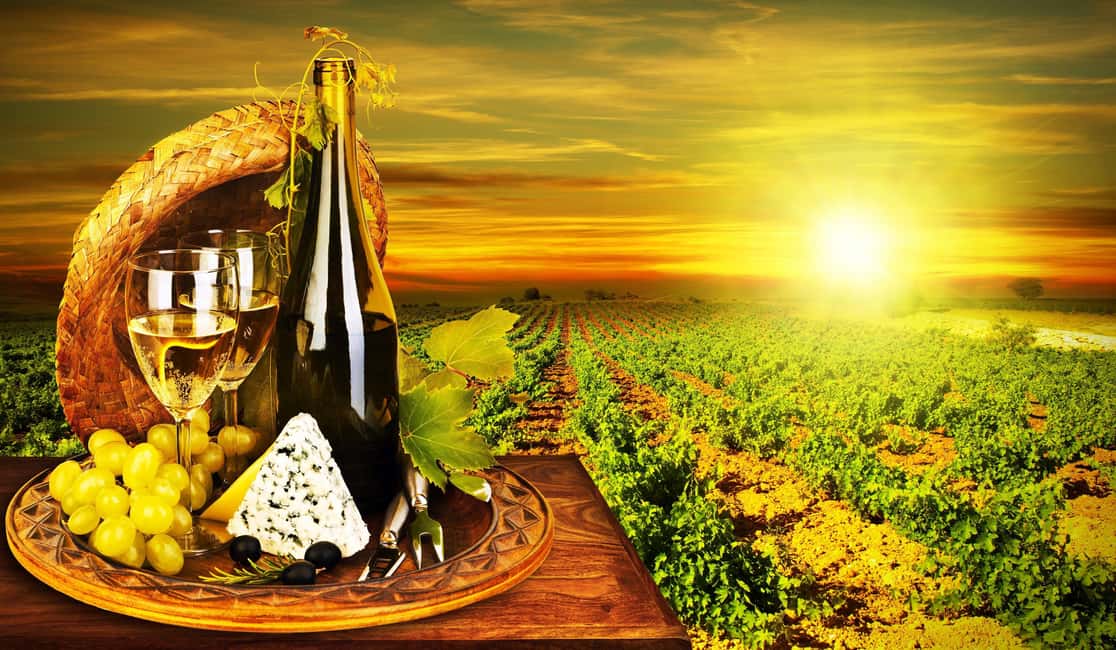 Organic Wine Tasting with Saint paul Half Day Tour from Nice - Saint-Paul-de-Vence: the hilltop medieval stroll you’ll actually enjoy