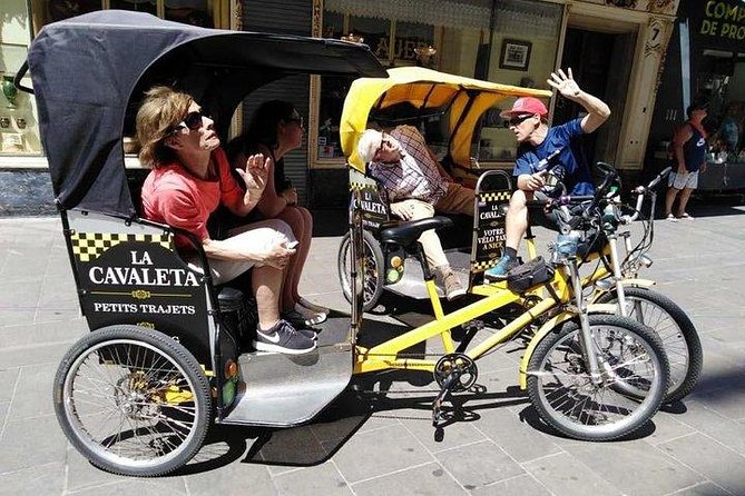 Original Nice city tour ( pedicab-vélo taxi) - Palais de Justice and Monument aux Morts: city meaning beyond the postcard