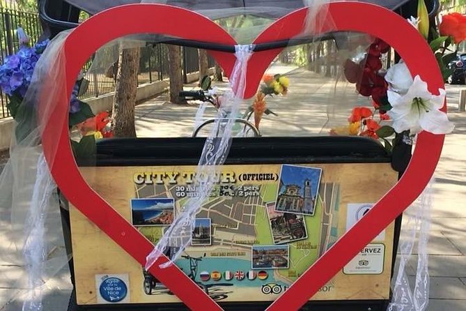 Original Nice city tour ( pedicab-vélo taxi) - Quai Rauba Capeu and the slow crossing: romance and a gentler pace