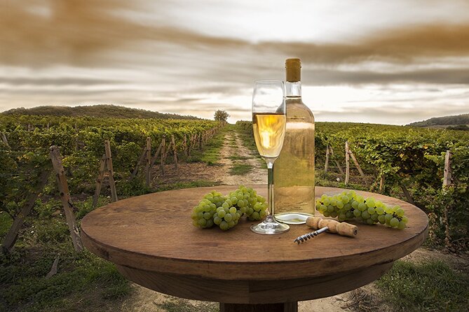 Provence Organic Wine Tasting Half Day Tour from Nice - Five hours from Nice: what the half-day format really feels like
