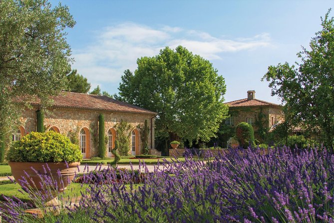 Provence Wine Tour - Private Day Tour from Cannes - Lunch Plan: What to Expect and How Much to Budget