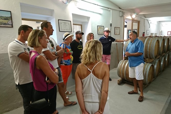 Provence Wine Tour - Private Day Tour from Nice - Château Saint-Esprit: Olive-Tree Shade, Family Ownership, And Medal Wines
