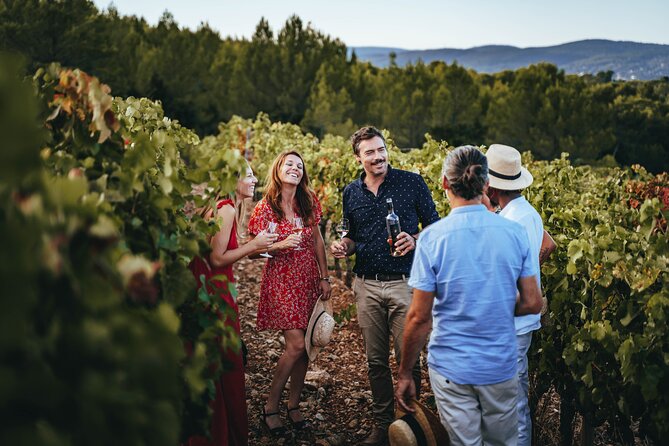 Provence Wine Tour - Small Group Tour from Cannes - Why This Provence Wine Tour Works So Well From Cannes