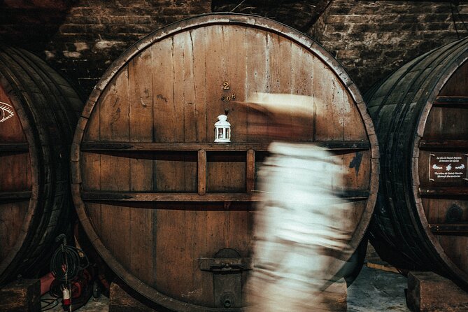 Provence Wine Tour - Small Group Tour from Cannes - Stop 3: Domaine des Féraud, Modern Winemaking Meets Organic Tradition