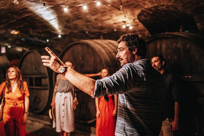 Provence Wine Tour - Small Group Tour from Nice - Lunch after the first winery: medieval village or vineyard meal (budget 25€)