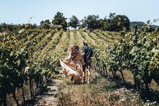 Provence Wine Tour - Small Group Tour from Nice - Stops two and three: three winery personalities, one cohesive lesson