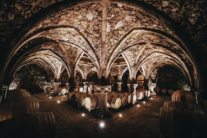 Provence Wine Tour - Small Group Tour from Nice - What $187.53 really covers (and what to plan for next)